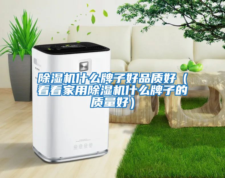 除濕機(jī)什么牌子好品質(zhì)好(看看家用除濕機(jī)什么牌子的質(zhì)量好)
