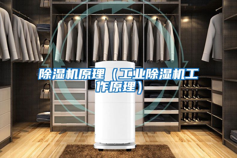 除濕機(jī)原理(工業(yè)除濕機(jī)工作原理)