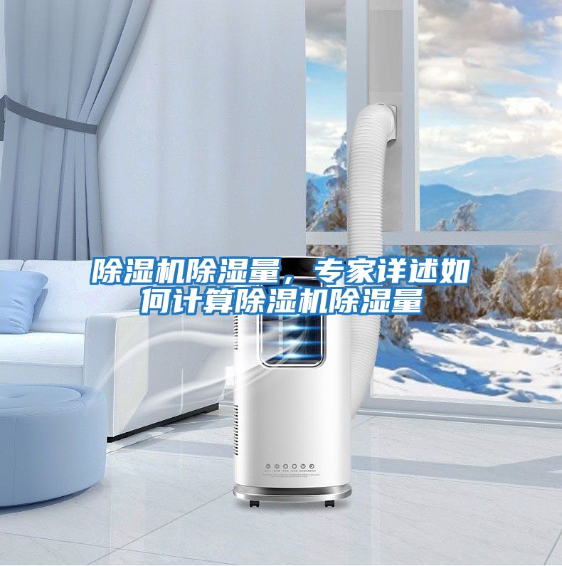 除濕機除濕量，專家詳述如何計算除濕機除濕量