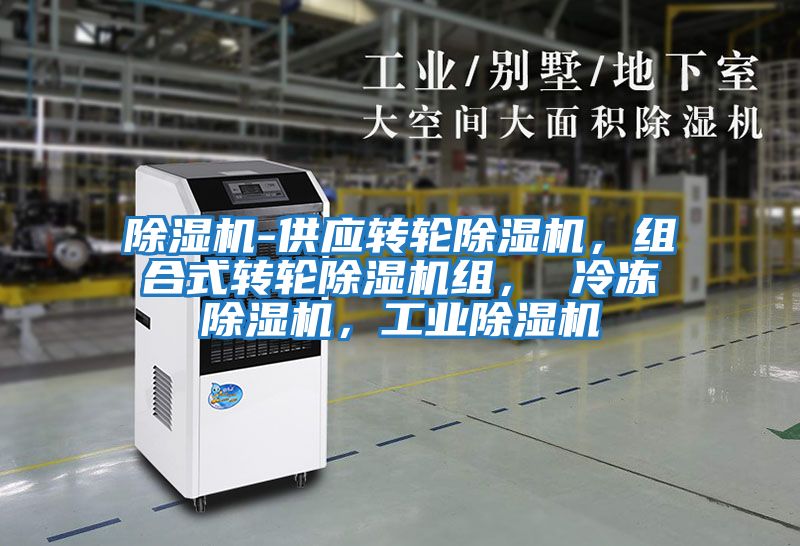 除濕機-供應(yīng)轉(zhuǎn)輪除濕機,組合式轉(zhuǎn)輪除濕機組, 冷凍除濕機,工業(yè)除濕機